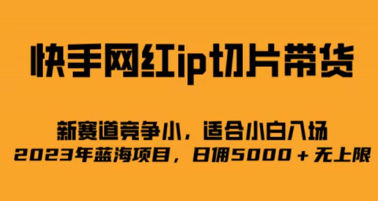 快手网红ip切片新赛道，竞争小事，适合小白 2023蓝海项目-锦程资源站
