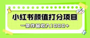 适合0基础小白的小红书颜值打分项目，一条作品收入1000+-锦程资源站
