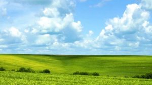 中视频赚钱的核心秘密，中视频计划怎么赚钱？这些方法让你轻松变现-锦程资源站