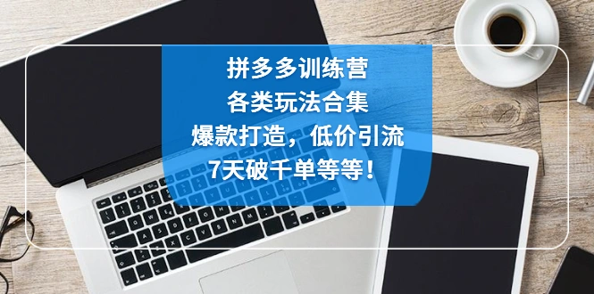 拼多多训练营：各玩法合集，爆款打造，低价引流，7天破千单等等！-锦程资源站