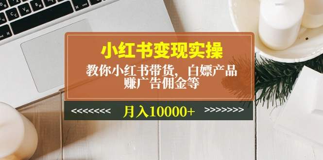 小红书变现实操：教你小红书带货，白嫖产品，赚广告佣金等，月入10000+-锦程资源站
