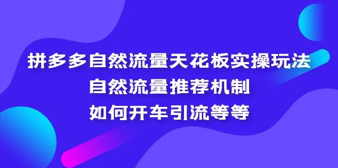 拼多多自然流量天花板实操玩法：自然流量推荐机制，如何开车引流等等-锦程资源站