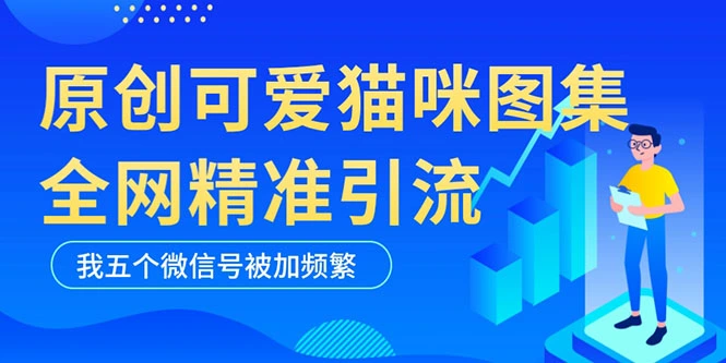 黑科技纯原创可爱猫咪图片，全网精准引流，实操5个VX号被加频繁-锦程资源站