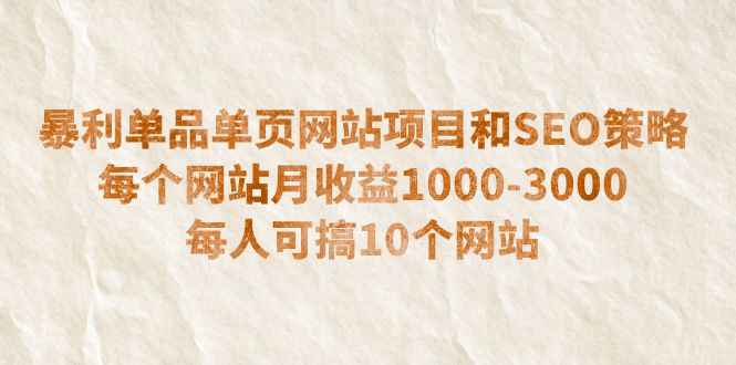 暴利单品单页网站项目和SEO策略 每个网站月收益1000-3000 每人可搞10个-锦程资源站