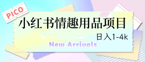 最新小红书情趣用品项目，日入1-4k-锦程资源站