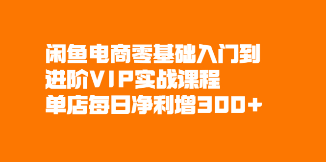 闲鱼电商零基础入门到进阶VIP实战课程，单店每日净利增300+-锦程资源站
