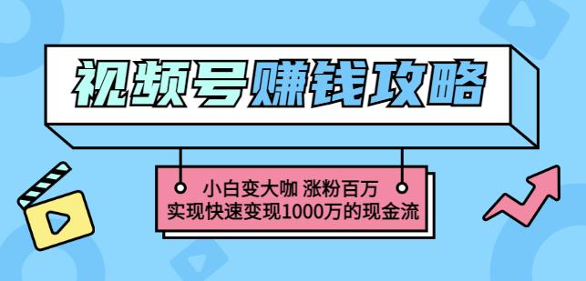 玩转微信视频号赚钱：小白变大咖涨粉百万实现快速变现1000万的现金流-锦程资源站
