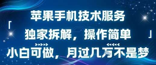苹果手机技术服务，独家拆解，操作简单，小白可做，月过1W不是梦-锦程资源站