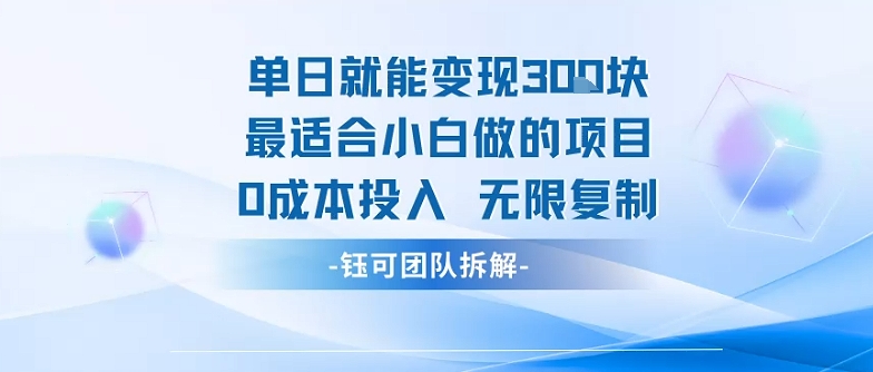 单日就能变现3张最适合小白做的项目0成本投入 无限复制-锦程资源站