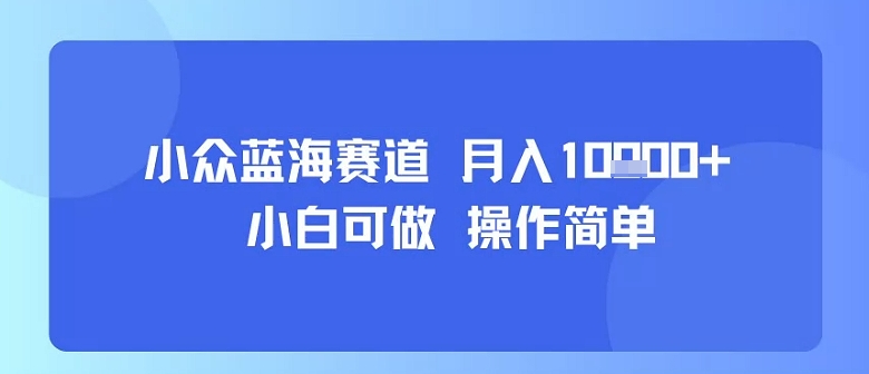 小众蓝海赛道，小白可做，操作简单，每天30分钟，月入1W+-锦程资源站