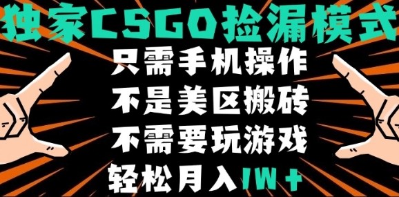 CSGO自动捡漏项目，最新独家玩法，不是美区搬砖，不需要了解和玩游戏，新手小白轻松月入1W+【揭秘】-锦程资源站