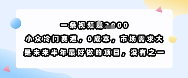 一条视频挣1k，小众冷门赛道，0成本，市场需求大，是未来半年最好做的项目，没有之一-锦程资源站