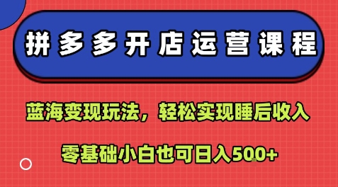 拼多多开店运营课程：蓝海变现玩法，轻松实现睡后收入，零基础小白也可日入5张-锦程资源站