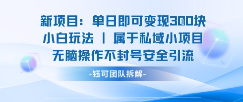 新项目单日即可变现3张的小白玩法无脑操作不封号安全引流-锦程资源站