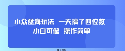 小众蓝海玩法 一天搞了四位数 小白可做 操作简单-锦程资源站