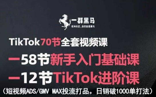 TikTok全套视频课，新手入门+进阶课，短视频ADS-GMV MAX投流打品，日销破1000单打法-锦程资源站