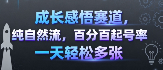 成长感悟赛道，纯自然流，百分百起号率 一天轻松多张-锦程资源站
