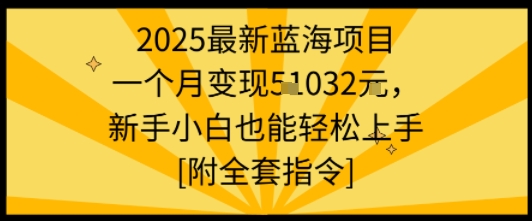 2025最新蓝海项目一个月变现1w+新手小白也能轻松上手【附全套指令】-锦程资源站