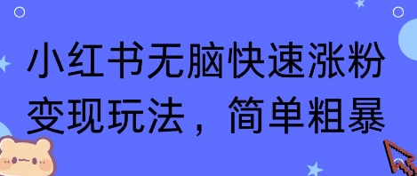 小红书无脑快速涨粉变现玩法，简单粗暴-锦程资源站