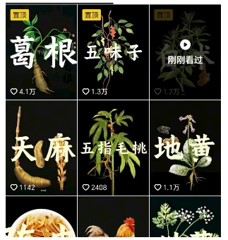 抖音中草药赛道，用AI做中草药故事视频，45条作品涨粉13W，橱窗带货猛猛出单-锦程资源站