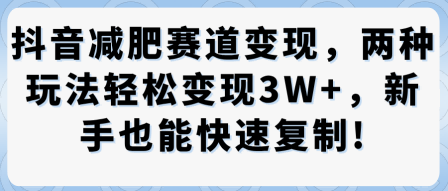 抖音减肥赛道变现，两种玩法轻松变现3W+，新手也能快速复制-锦程资源站