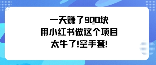 一天挣了9张用小红书做这个项目太牛了，空手套-锦程资源站