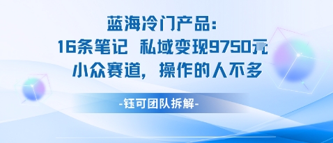 蓝海项目:16条笔记私域变现9750米小众赛道操作的人不多-锦程资源站