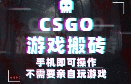 CSGO游戏挂G捡漏，单日扫货5张+，年底小高峰上车可吃肉，手机即可操作，兼职副业创业网创【揭秘】-锦程资源站