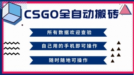 CSGO全自动搬砖,年底钱回家好项目,当天可拿到结果,新手小白轻松月入1W+【揭秘】-锦程资源站