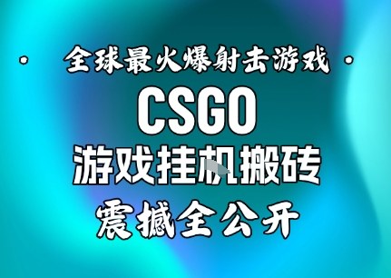 【年底大揭秘】基于全球最火爆的射击CSGO游戏挂G搬砖，日入5张+，震撼公开-锦程资源站