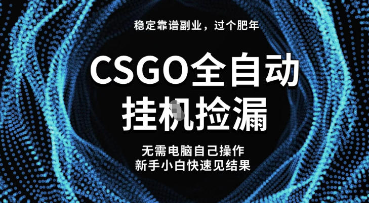 【稳定副业】全球最热门游戏CSGO全自动捡漏，最新玩法，新手小白日入5张+【揭秘】-锦程资源站
