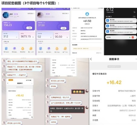 当天能收益的3个小项目拆解_包括平台+操作流程-锦程资源站