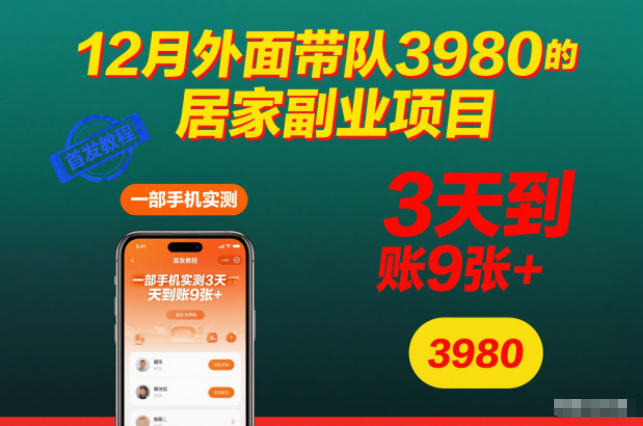 12月外面带队3980的居家副业项目，一部手机实测3天到账9张+，首发教程【揭秘】-锦程资源站
