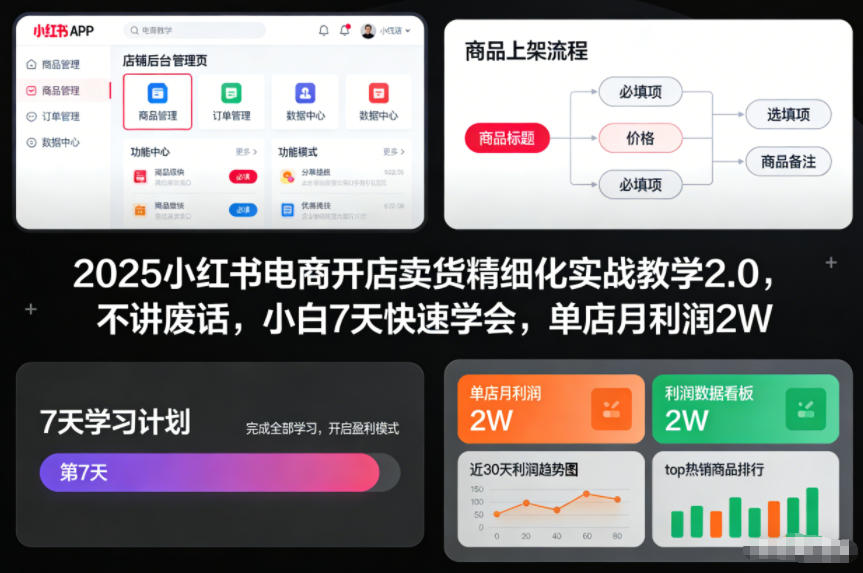 2025小红书电商开店卖货精细化实战教学2.0，不讲废话，小白7天快速学会，单店月利润2W-锦程资源站