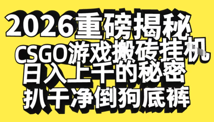2026开年重磅解密，CSGO游戏搬砖挂G日入1k+的秘密，把倒狗的底裤扒干【揭秘】-锦程资源站
