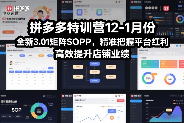 拼多多特训营12-1月份，全新3.01矩阵Sop，精准把握平台红利，高效提升店铺业绩-锦程资源站