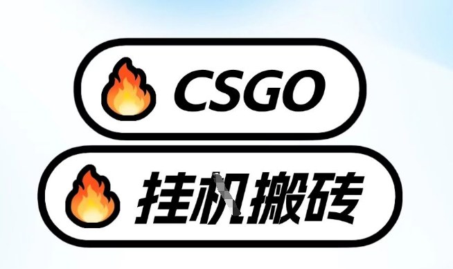 真全网独家CSGO挂G，最新玩法,单日捡漏1K+，不用电脑，不用打游戏【揭秘】-锦程资源站
