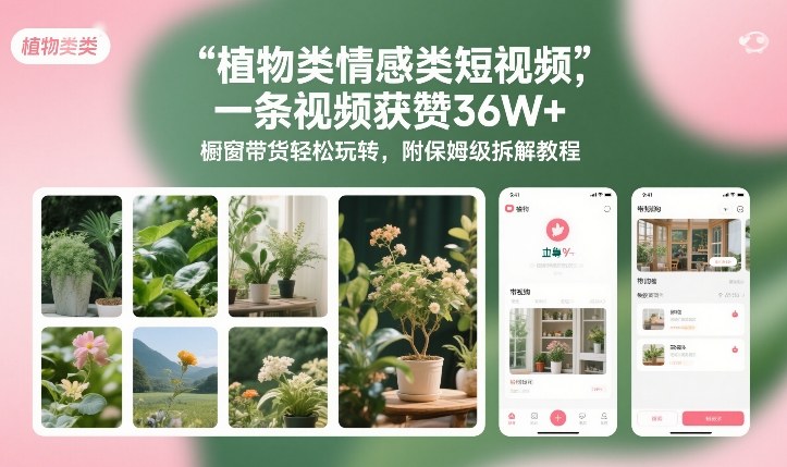 植物类情感类短视频，一条视频获赞36W+，橱窗带货轻松玩转，附保姆级拆解教程-锦程资源站