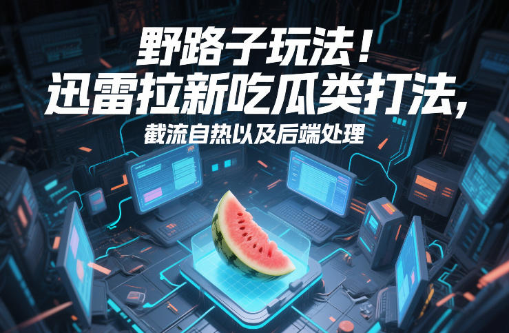 野路子玩法！迅雷拉新吃瓜类打法，截流自热以及后端处理-锦程资源站