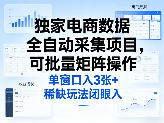 独家电商数据全自动采集项目，可批量矩阵操作，单窗口日入3张+，稀缺玩法闭眼入【揭秘】-锦程资源站