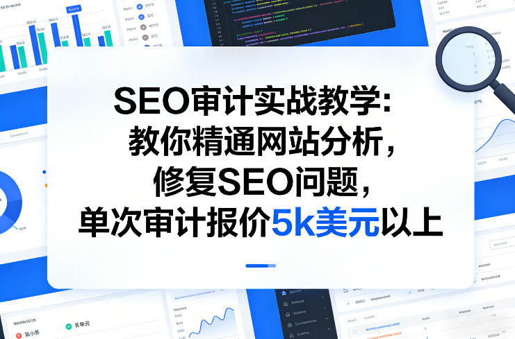 SEO审计实战教学：教你精通网站分析，修复SEO问题，单次审计报价5k美元以上-锦程资源站