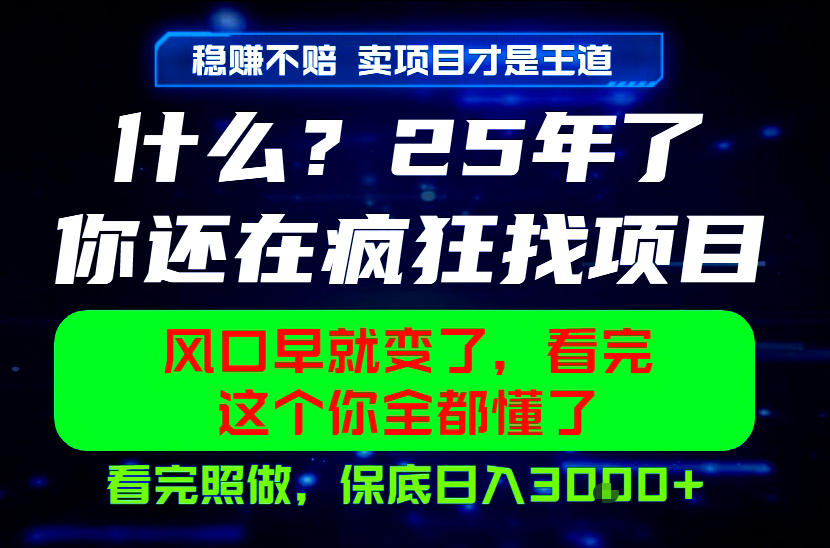 26年，请不要疯狂的找项目做了！卖项目才是真的稳賺不赔，看完照做，保底日入1k+【揭秘】-锦程资源站