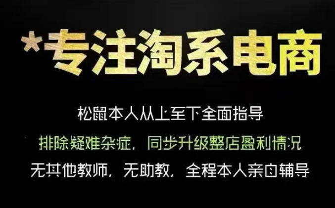 松鼠会电商VIP课程，从基础布局到高阶优化，助你掌握淘宝运营逻辑，提升店铺流量与转化-锦程资源站