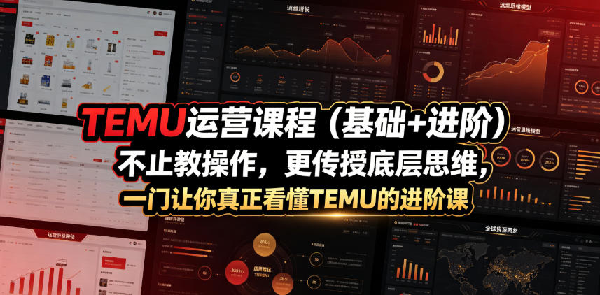 TEMU运营课程（基础+进阶），不止教操作，更传授底层思维，一门让你真正看懂TEMU的进阶课-锦程资源站
