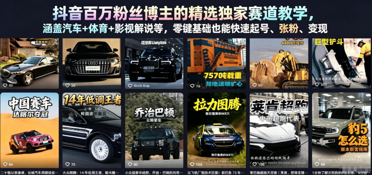 抖音百万粉丝博主的精选独家赛道教学，涵盖汽车+体育+影视解说等，零基础也能快速起号、涨粉、变现-锦程资源站