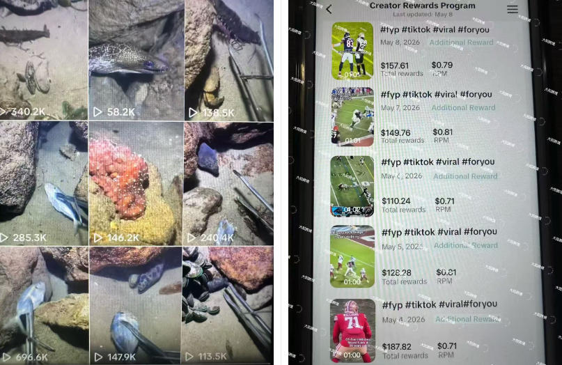 Tiktok中视频解说教程,体育+温情文案双赛道实操教程一站式带你落地,教你出海賺美刀-锦程资源站