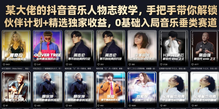 某大佬的抖音音乐人物志教学，手把手带你解锁伙伴计划+精选独家收益，0基础入局音乐垂类赛道-锦程资源站