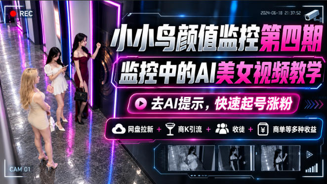 小小鸟颜值监控第四期，监控中的AI美女视频教学，去AI提示，快速起号涨粉，网盘拉新+商K引流+收徒+商单等多种收益-锦程资源站